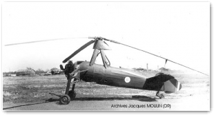 Lior� et Olivier LeO C-302